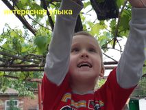 Саша Янцо